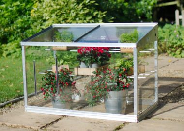 Mini Greenhouse Growing Guide