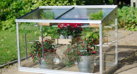 Mini Greenhouse Growing Guide