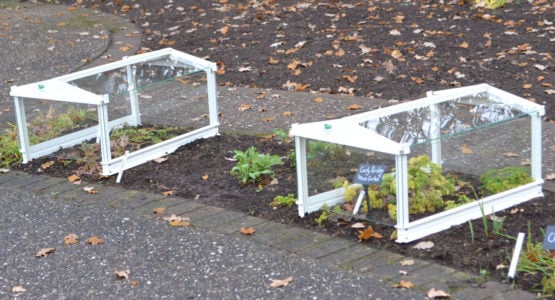 Access Cloches in RHS Wisley Herb Garden