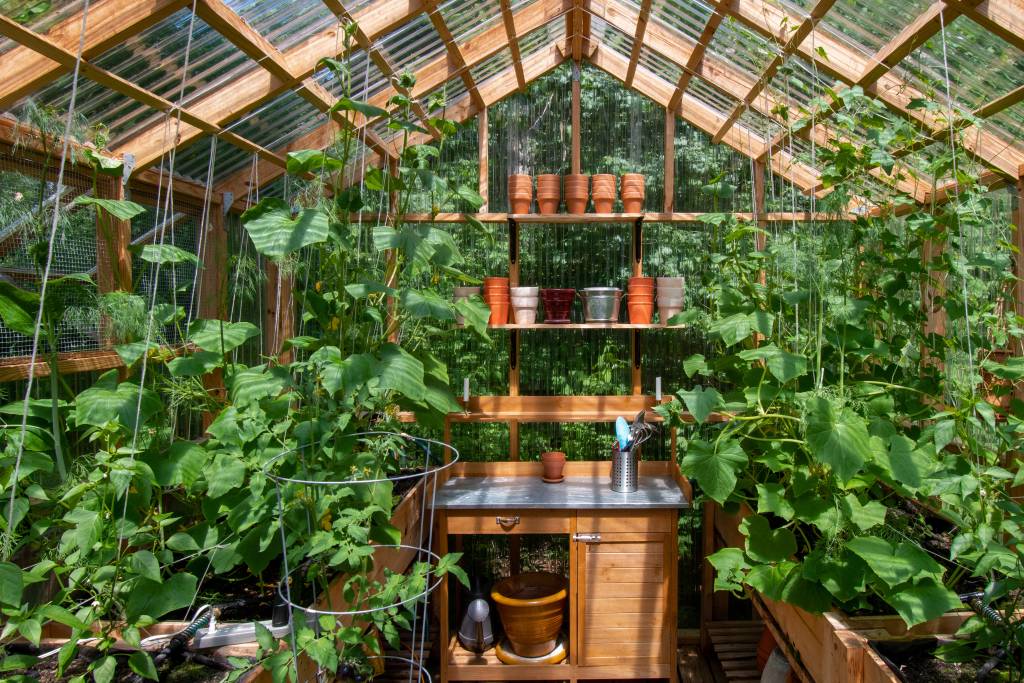 Overflowing greenhouse