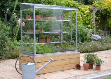 The ideal small Growhouse for an urban garden