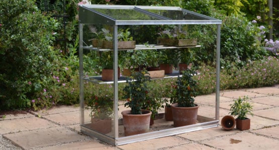 Midi greenhouse – the versatile all-rounder