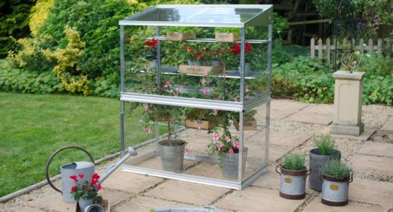 Access 4ft Growhouse – ideal for tender plants