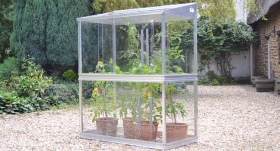 Tomato Houses for bigger and earlier crops