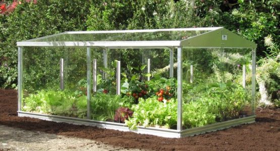 10 Reasons your Garden needs a Greenhouse