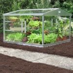 Access Cold frame on soil