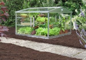 Access Cold frame on soil