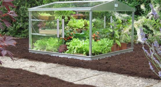 7 Unique Benefits of the Access Cold Frame