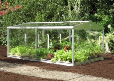 Cold Frames