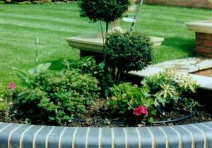 Border Drip Kit – Small