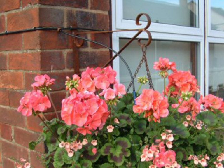Hanging Basket Watering Kit Access Garden Products