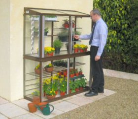 Hampton 5' mini greenhouse
