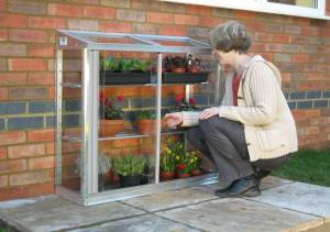 AN2 small greenhouse