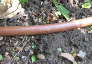 Border Watering Kit – Extra Pipe