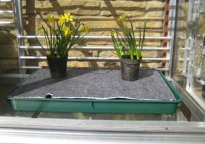 self watering tray