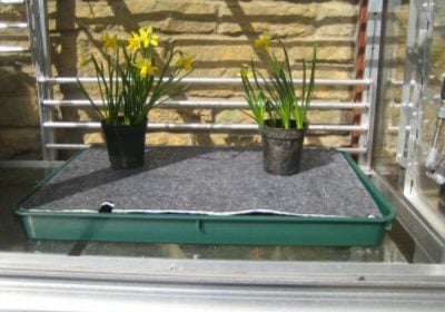 self watering tray