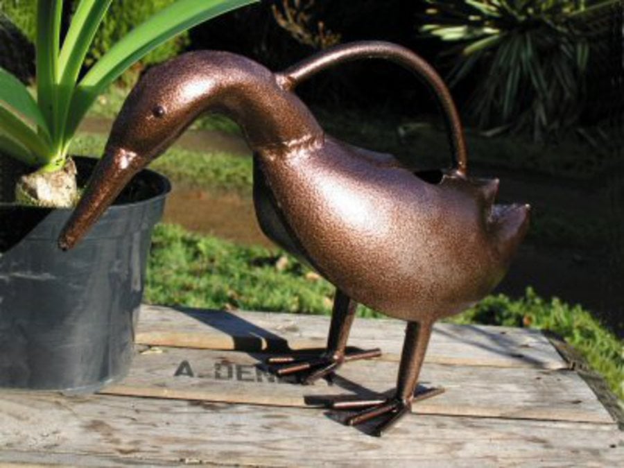 duck metal watering can