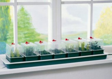 Super 7 Electric Windowsill Propagator