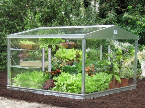 4ft Cold Frame