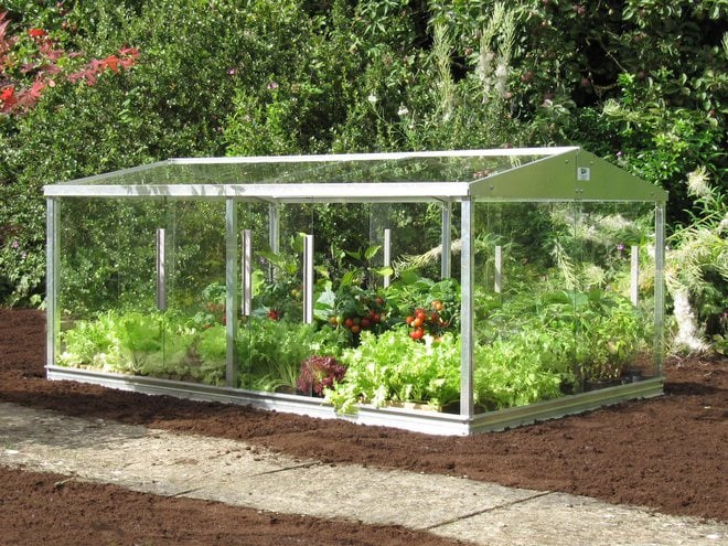 Zenport SH3212A Garden Cold Frame Greenhouse Cloche for Easy Access Protected Gardening 
