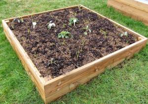 4ft x 4ft wooden raised bed kit