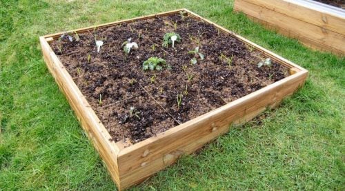 4ft x 4ft wooden raised bed kit