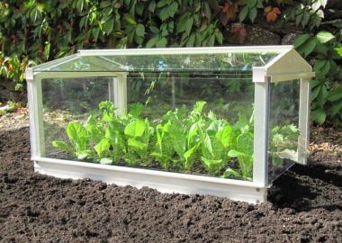 Access Garden Cloche