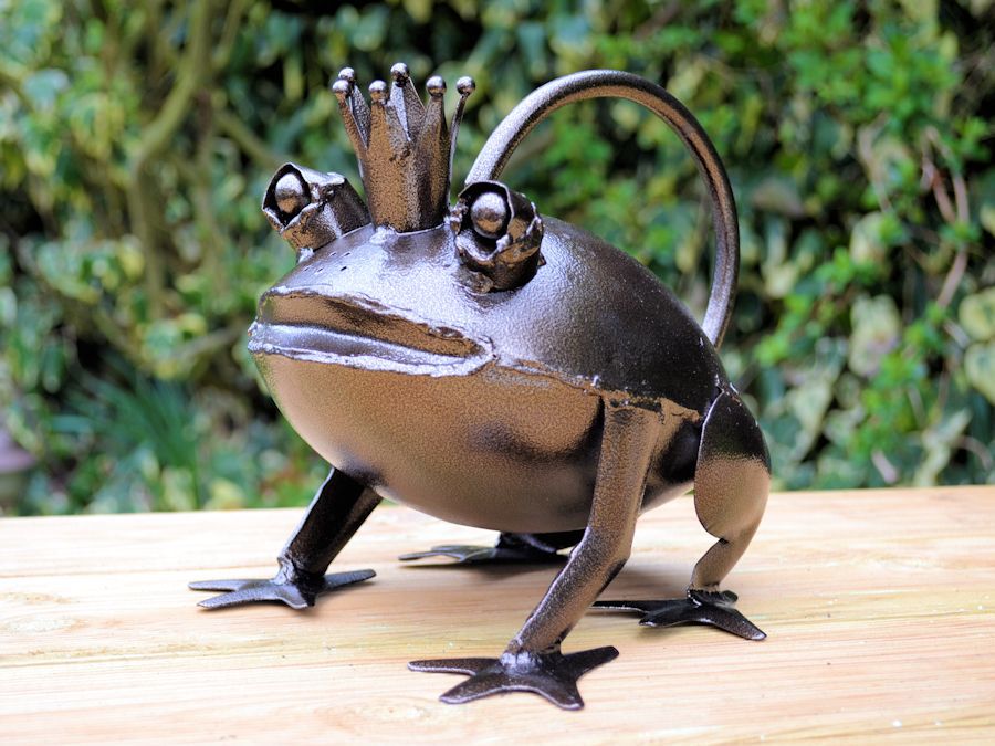 Frog Prince Watering Can - Access Garden Products Frog Prince Watering Can - Access Garden Products
