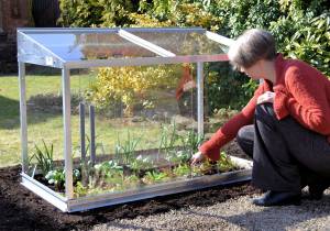 2′ x 4′ mini Garden Cold Frame