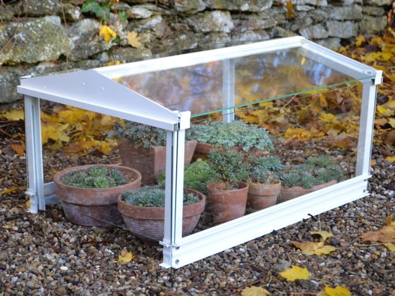 Access Garden Cloche Access Garden Products