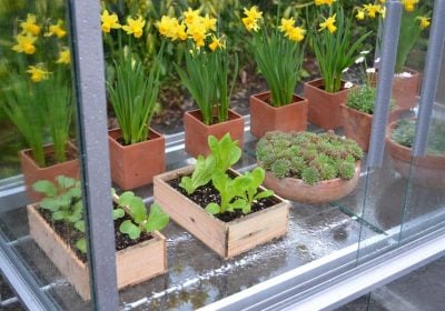 middle staging sheets in growhouse