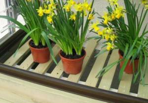 4ft Lean to Raised base including slats