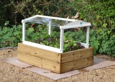 Herb and Salad Cloche Planter