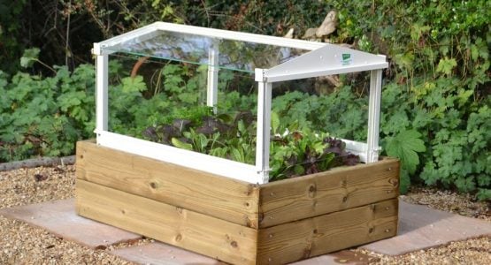 Access Salad Cloche