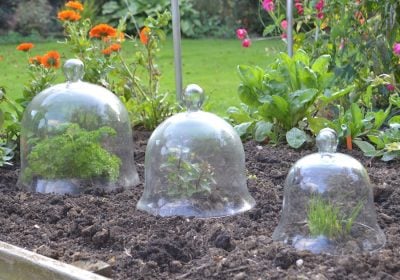 Victorian Glass Bell Jar Cloches – set of 3