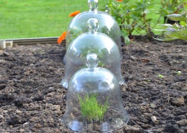 Victorian Glass Bell Jar Cloches – set of 3