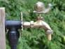 brass colour Snail ornamental garden tap