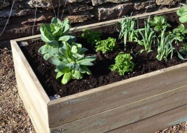 Raised Base without slats for 6ft Half Growhouse