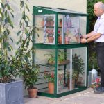 Mini greenhouse fitted to a wall