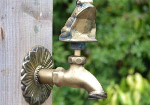 Frog ornamental garden tap brass colour