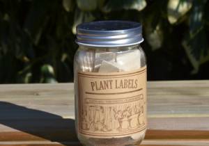 Wooden Plant Label Jar