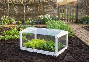 Access Cloche in Antique Ivory finish with lettuce