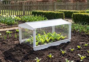 Access Cloche in Antique Ivory finish with lettuce