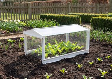 Access Garden Cloche