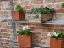 shelves in mini-greenhouse