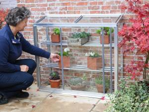 Westminster mini-greenhouse