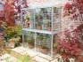 Hampton mini-greenhouse