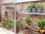 Adjustable mini greenhouse shelf