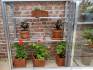 shelves in lean-to