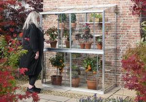 person next to 5ft Hampton-D